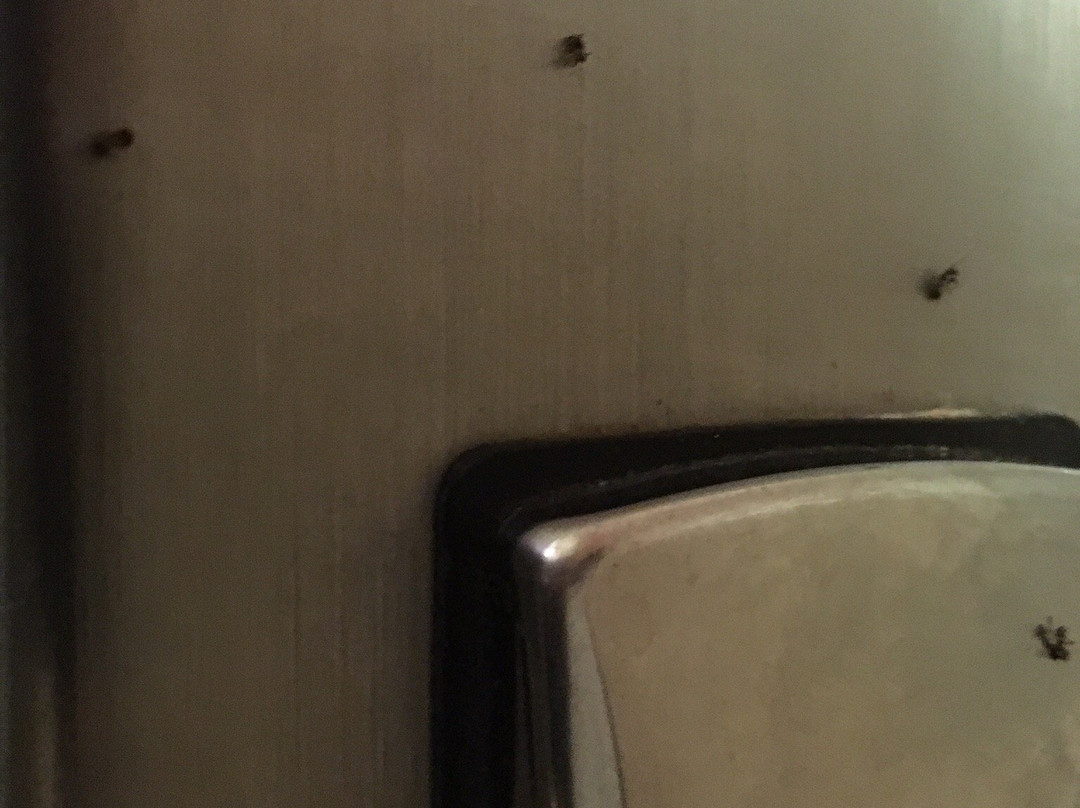 Extended Stay America - Raleigh - Cary - Regency Parkway South主图