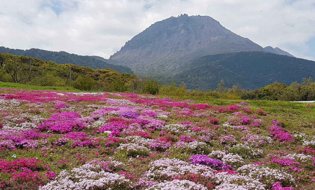 Shimabara Hibaruyamahana Park