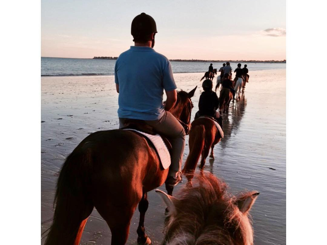 Manège des Platanes-拉博尔埃斯库布拉克必去景点