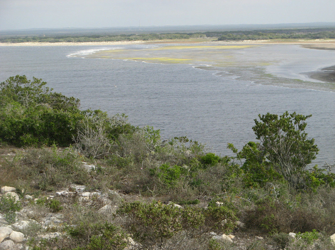 De Hoop Collection主图