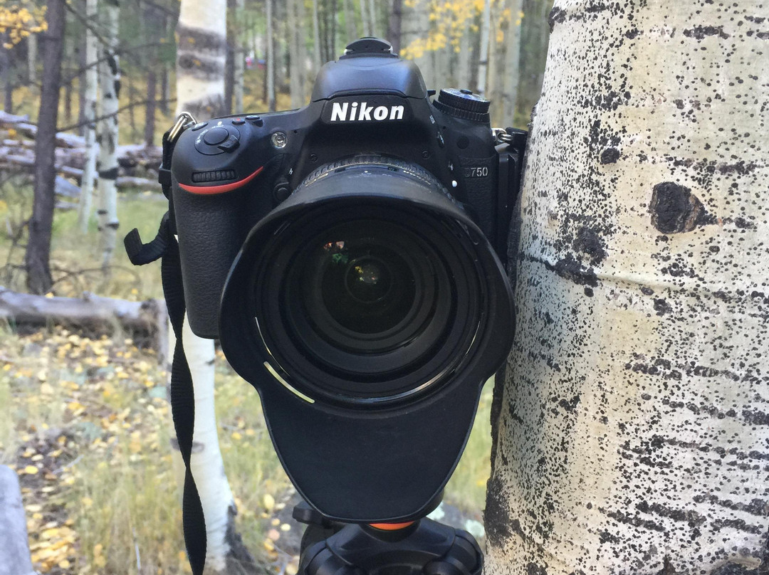 Wander West Adventures-凤凰城必去景点