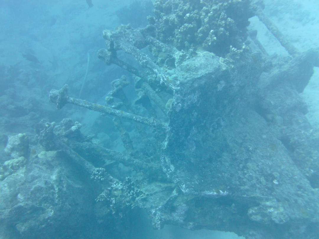 Eleuthera Tahiti Diving Center景点图片