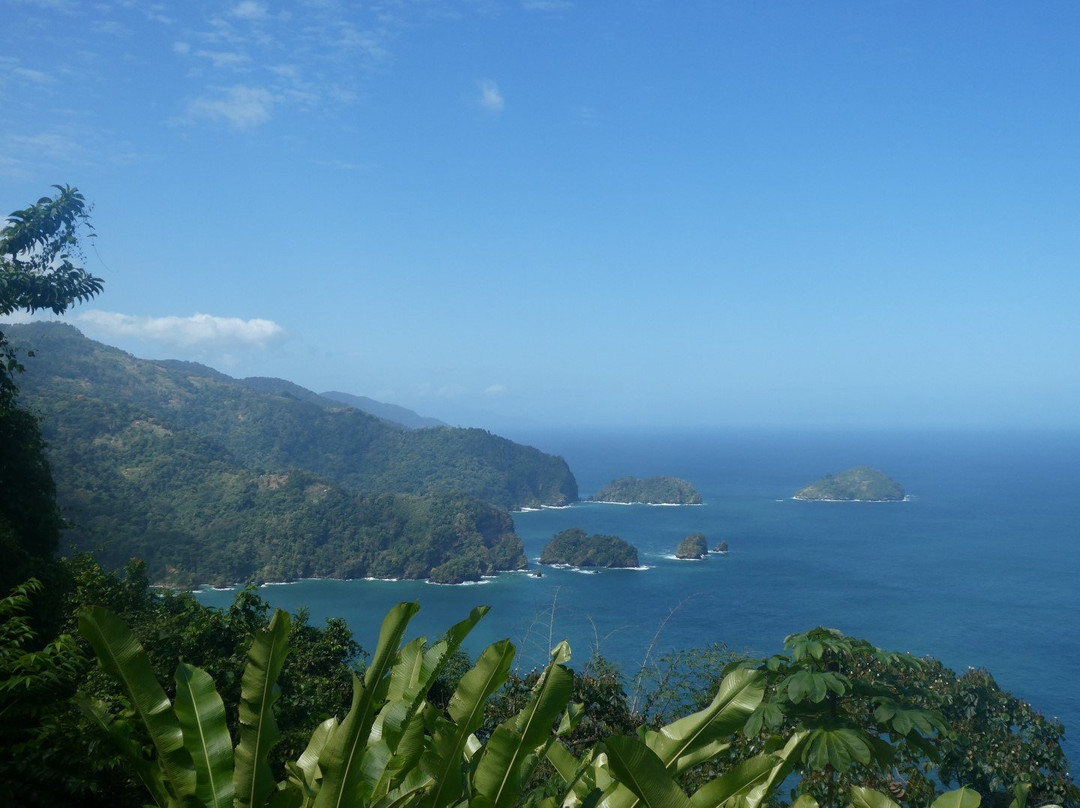 Trinidad & Tobago Sightseeing Tours景点图片