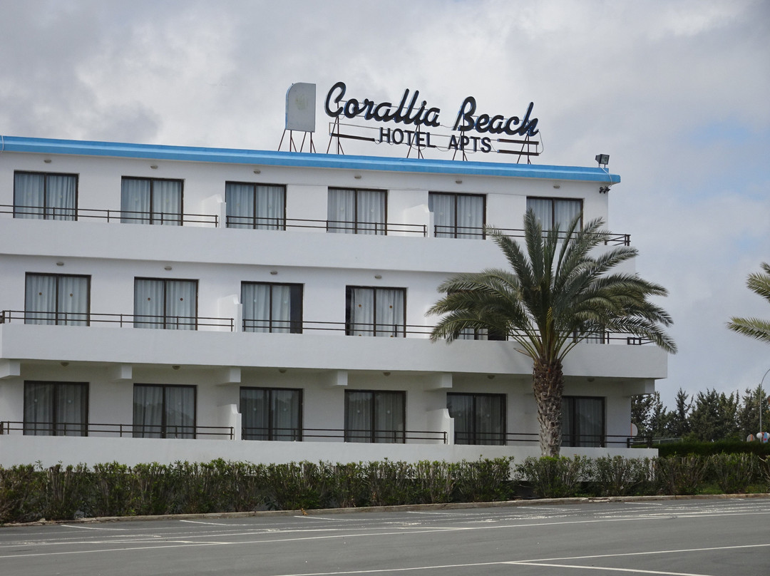 Corallia Beach景点图片