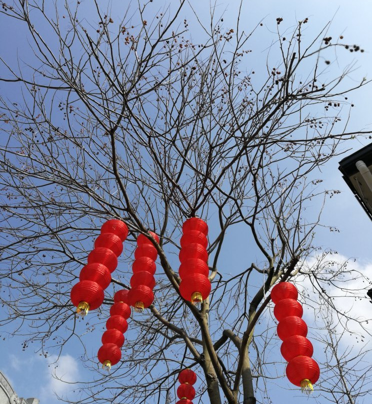 杭州小河直街-杭州市必去景点