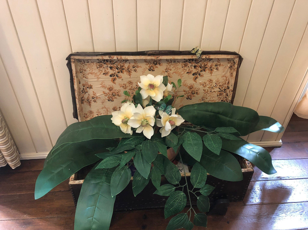 Casa do Colegio Velho主图