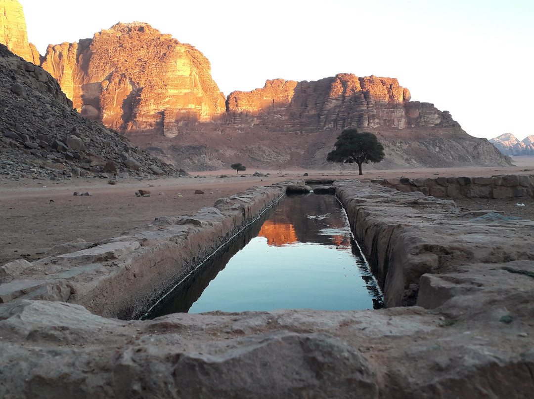 Bedouin Time景点图片