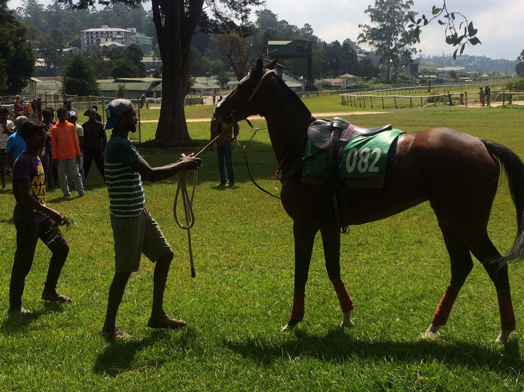 Royal Turf Club-奴娃拉伊利雅必去景点