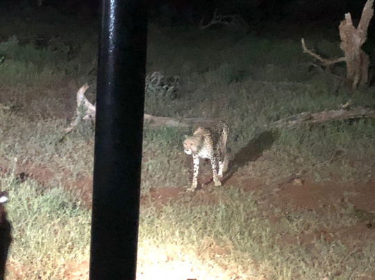 Beyond the Boma主图