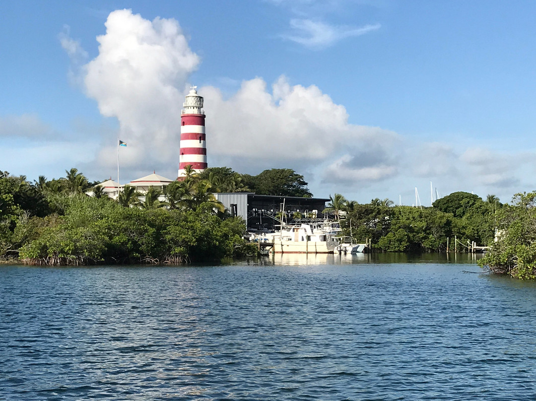 Froggies Out Island Adventures景点图片