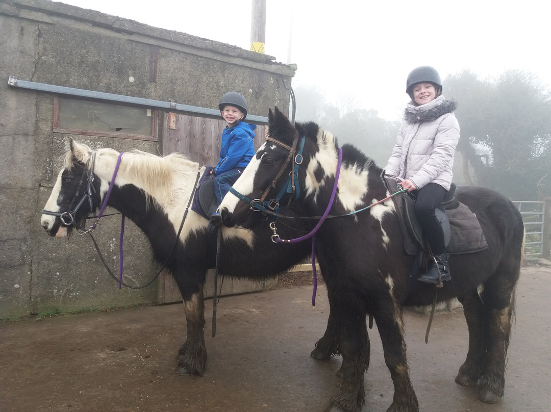 Mount Pleasant Pony Trekking and Horse Riding Centre景点图片