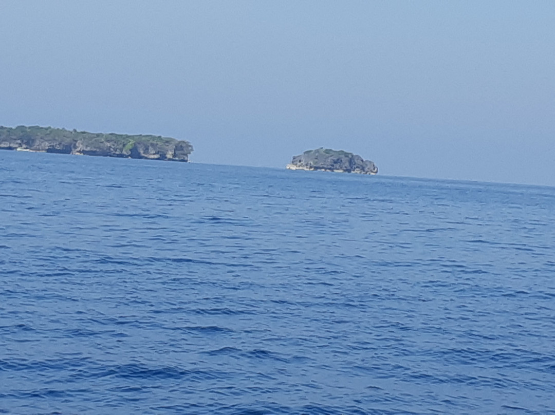 Bird Island-内维桑必去景点