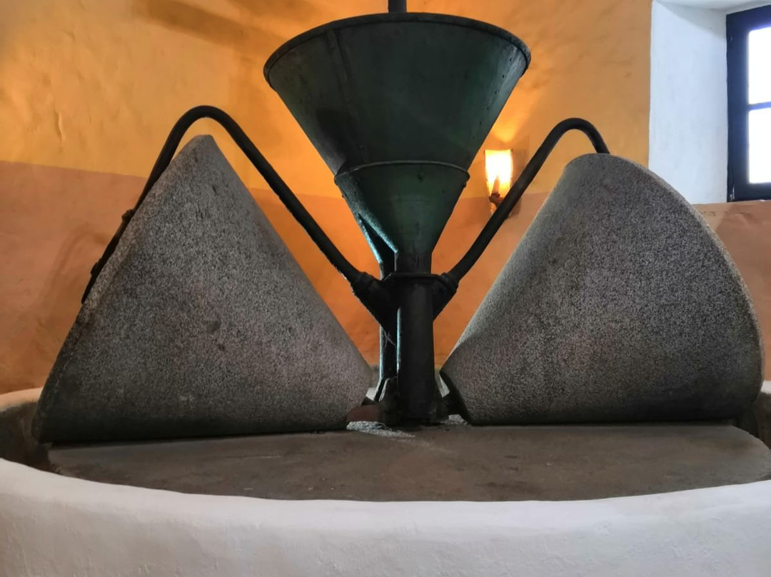 Hotel Finca Almeji主图
