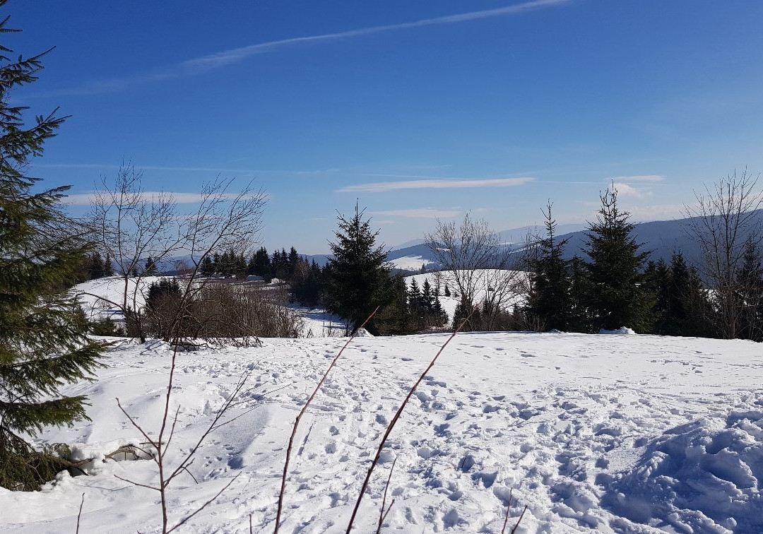 Penzion Kohutik主图