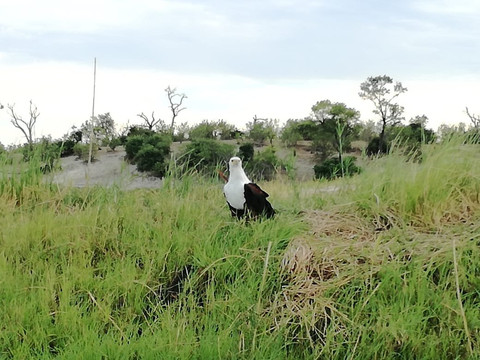 Okutembuka Safaris-温德和克必去景点