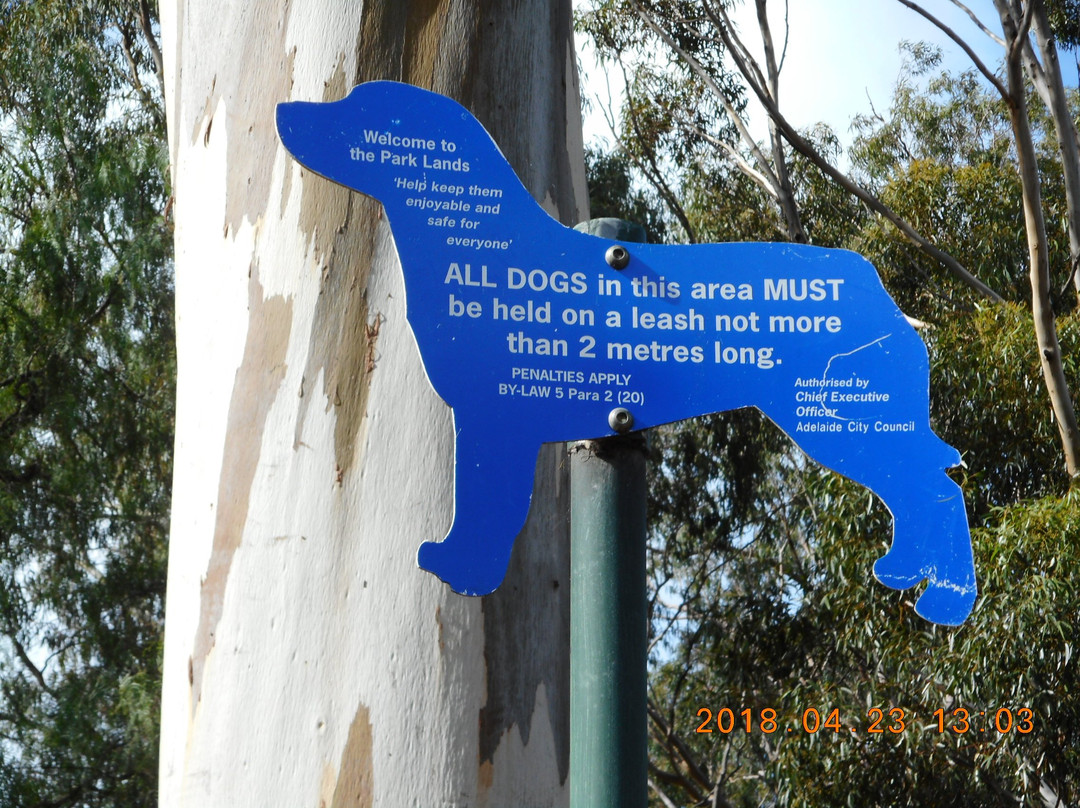 Adelaide Park Lands-阿德莱德必去景点