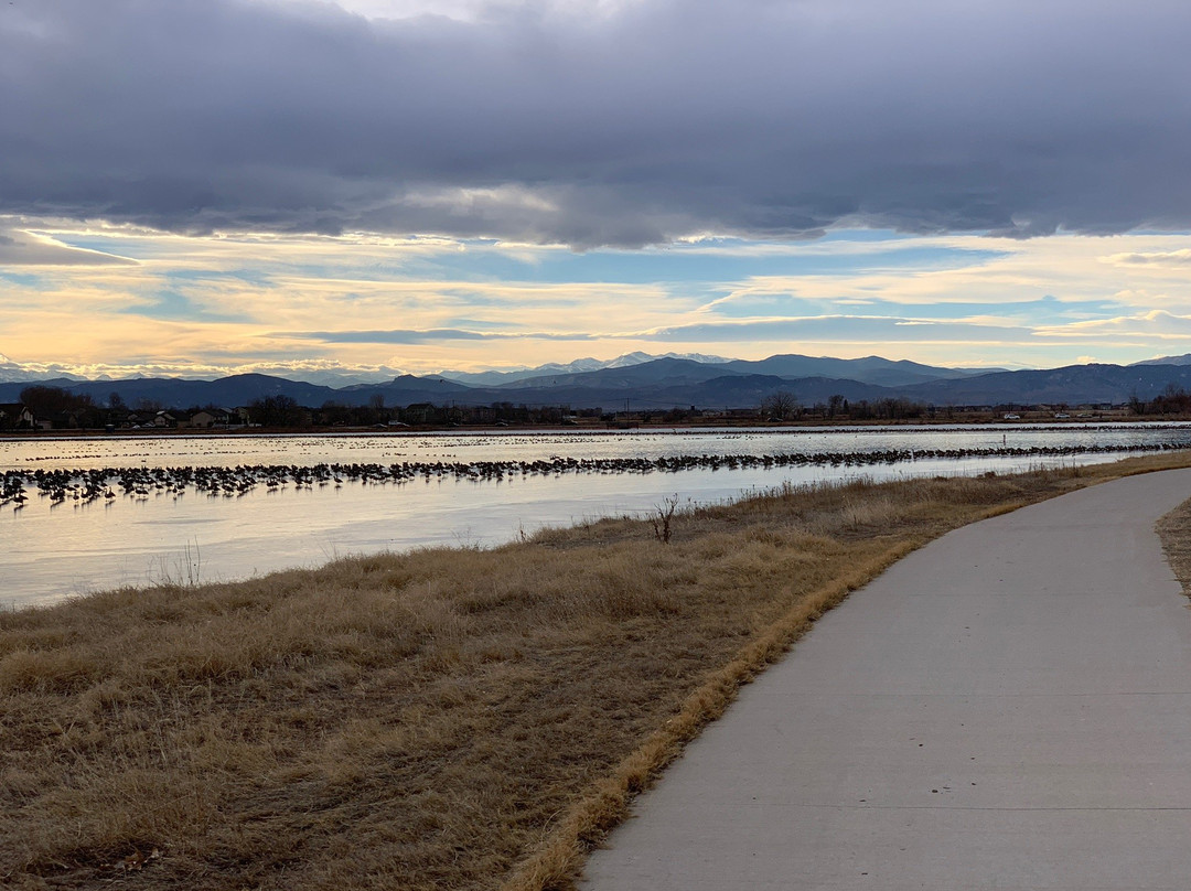 Windsor Lake-Windsor必去景点