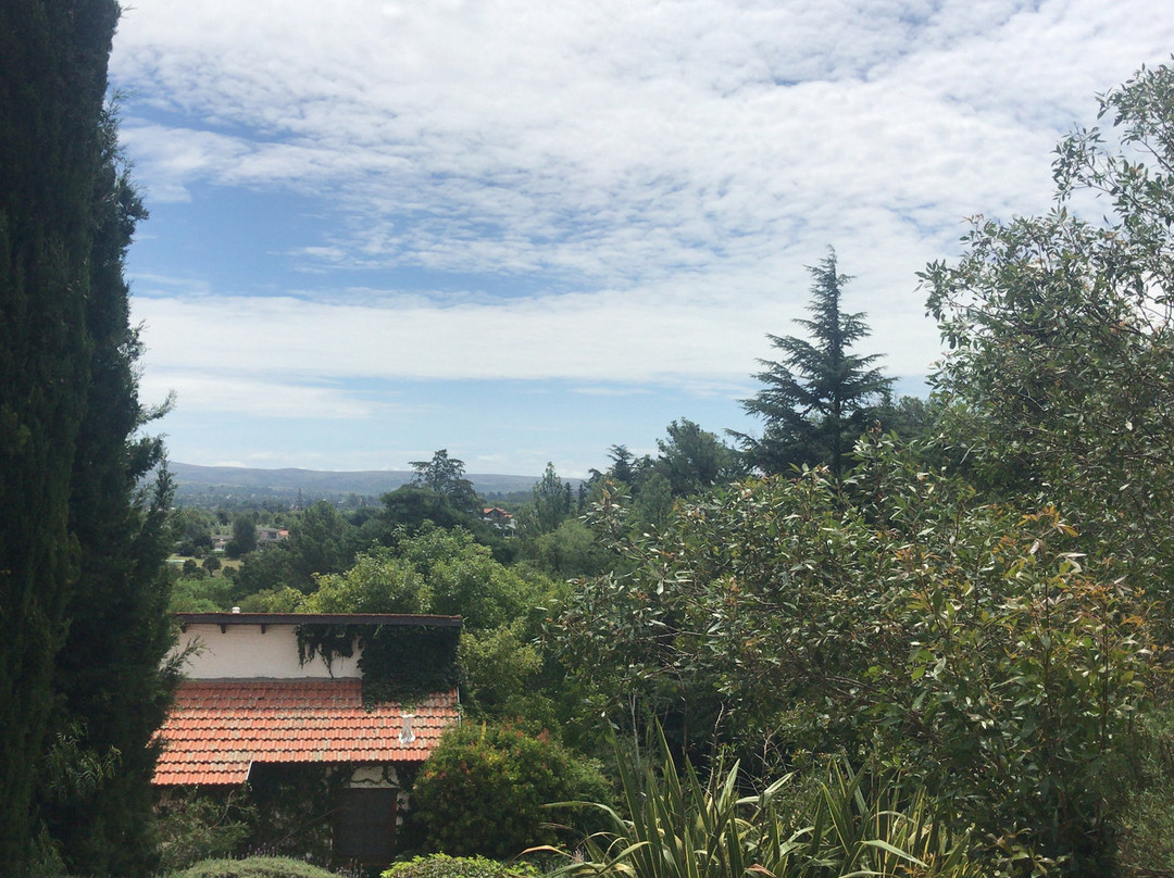 Las Ardillas Cabanas & Suites主图