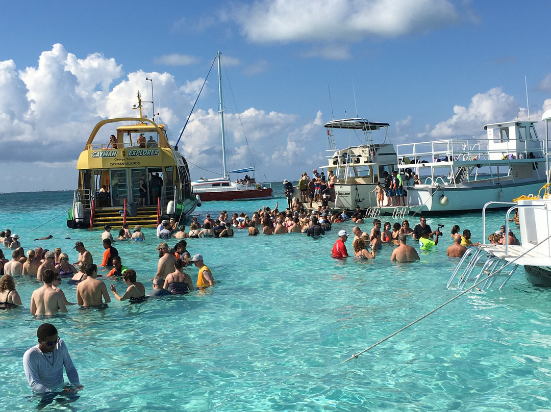 Tours Cayman-西湾必去景点
