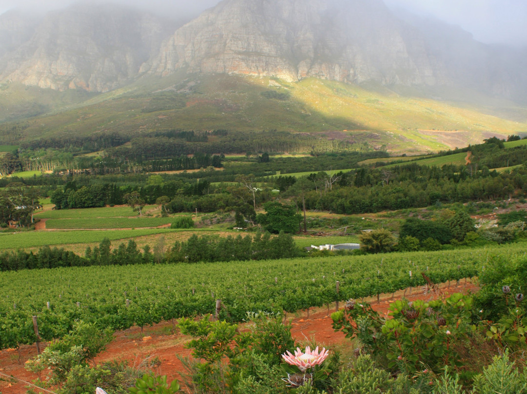 Rainbow's End Wine Estate-斯泰伦博斯必去景点