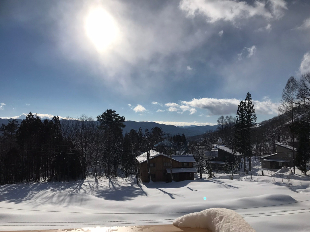 Wadano Forest Hotel & Apartments主图