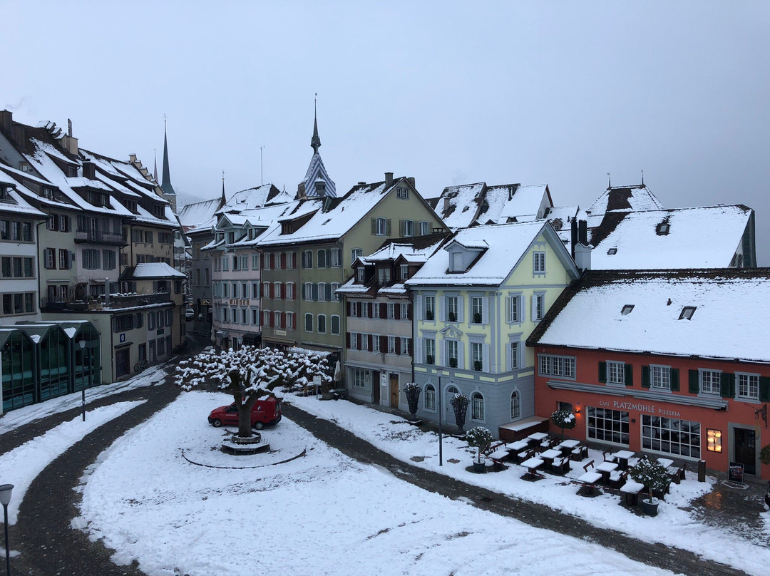 Hotel Lowen am See Zug主图