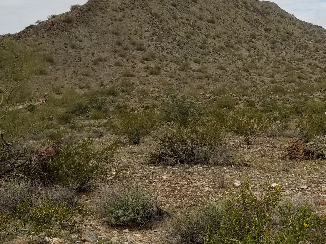 Skyline Regional Park-Buckeye必去景点
