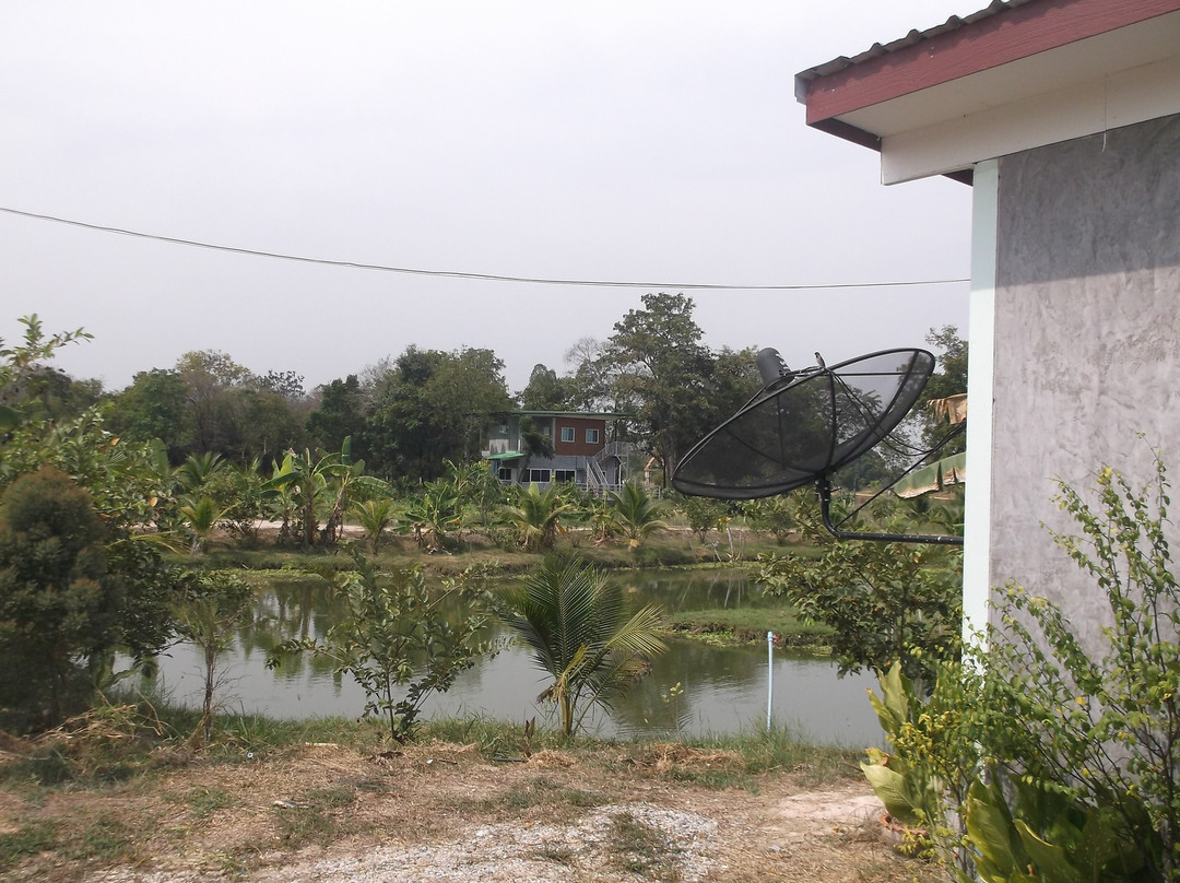 乌泰他尼酒店住宿-BN Organic Farm Resort