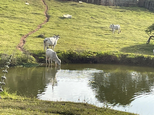 Restaurante Aguas Claras