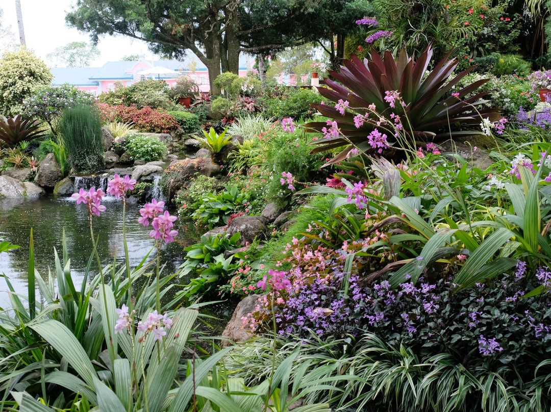 Tamayong Prayer Mountain-达沃必去景点