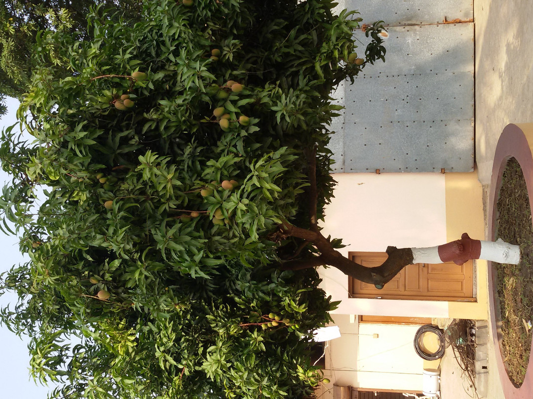 Kamarpukur Ramakrishna Math & Ramakrishna Mission-Hooghly必去景点