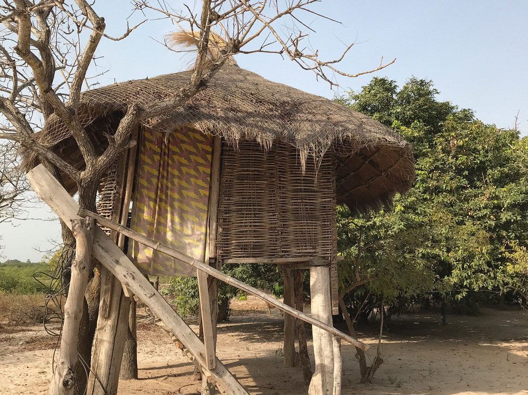 Campement de l'Ile d'Effrane主图