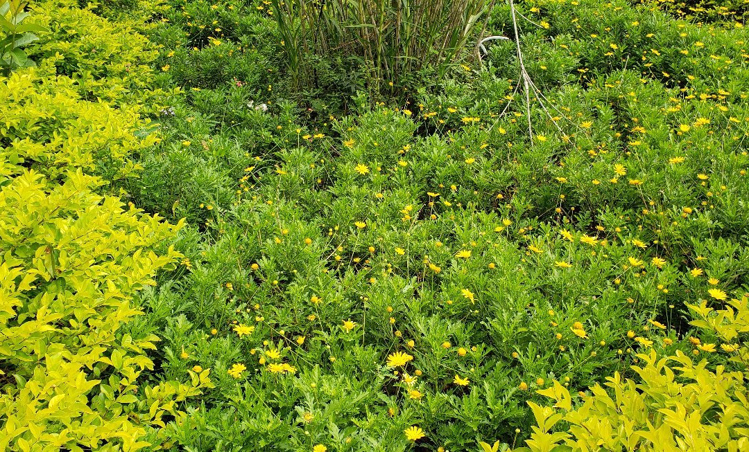 Sainte Monique Chales主图