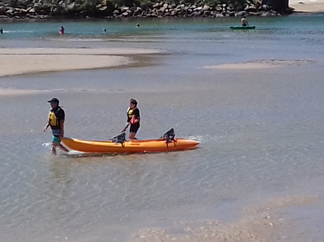 Boambee Creek Reserve-Sawtell必去景点