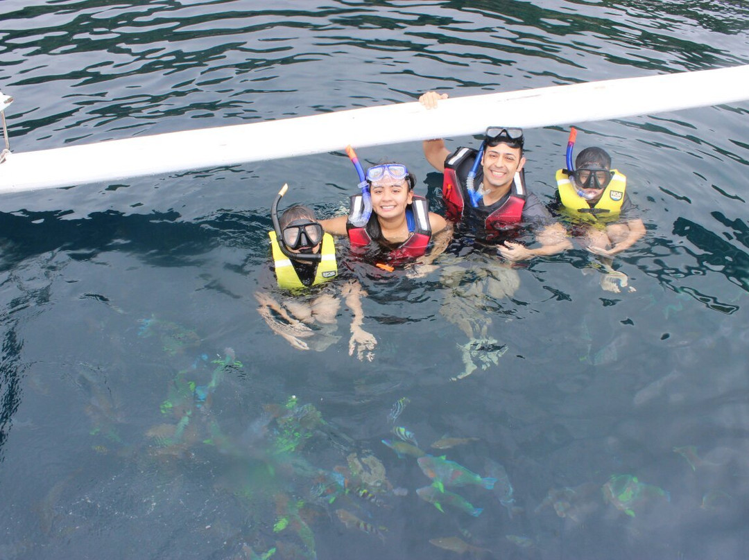 Anilao Diving and Resorts景点图片