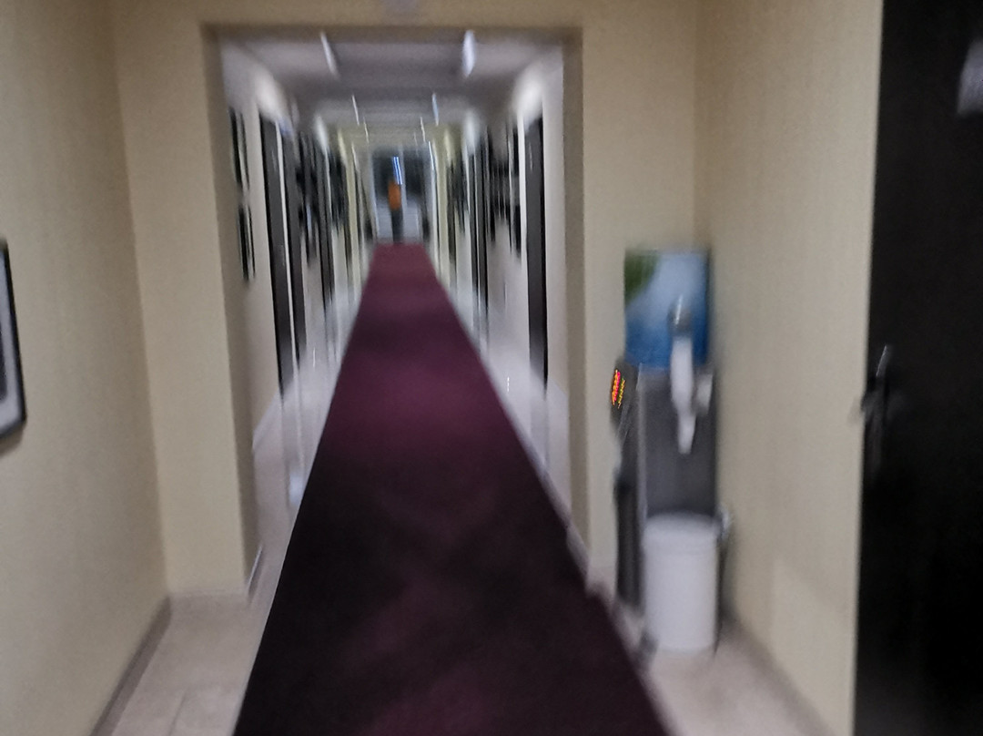 Park-hotel Pushkin主图