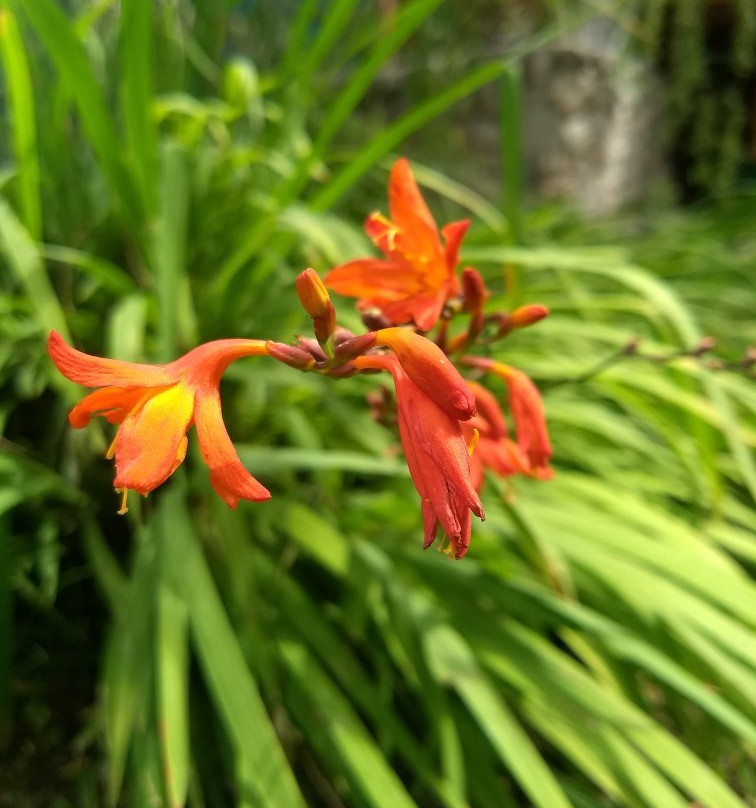 Posada La Valentina主图