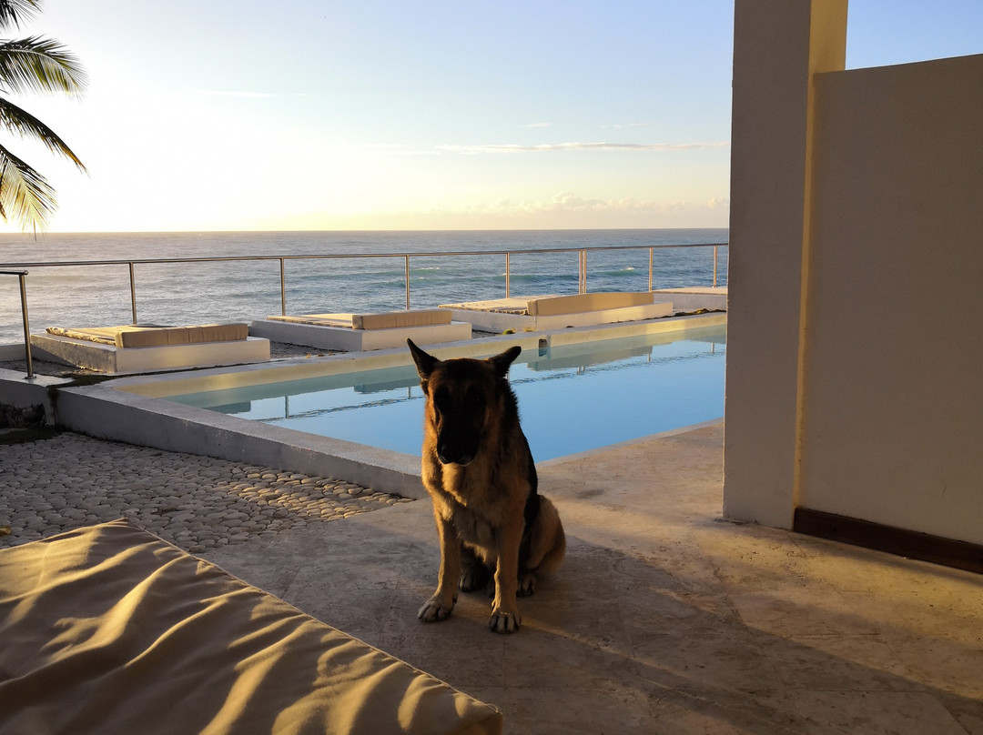 Casa del Mar Lodge主图