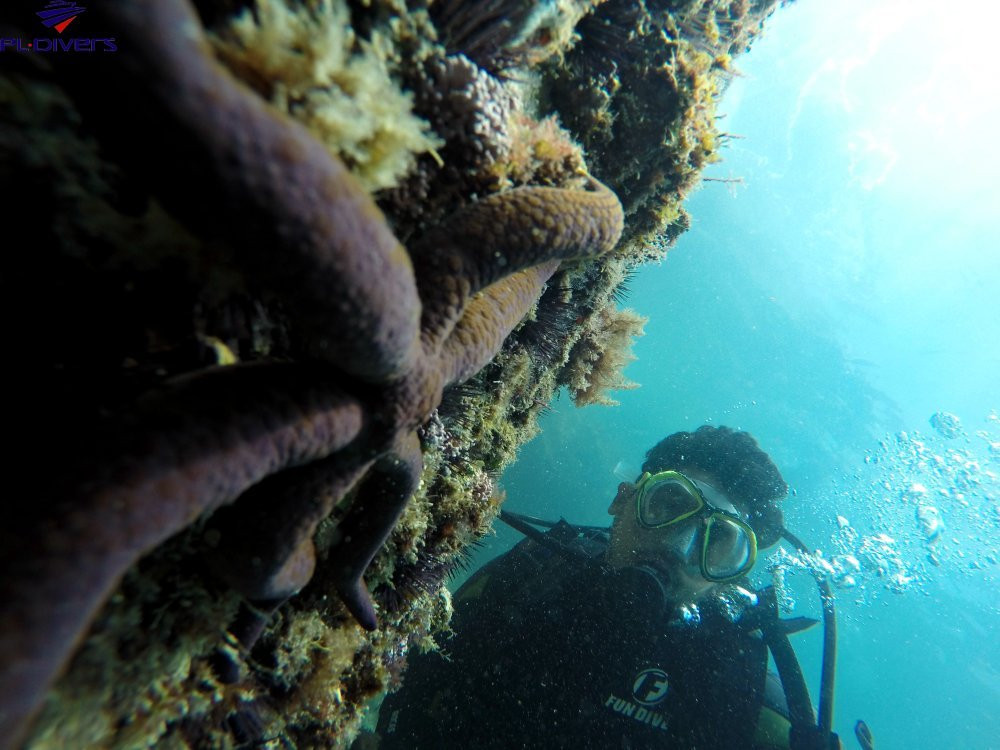 PL Divers-阿拉伊阿尔港必去景点