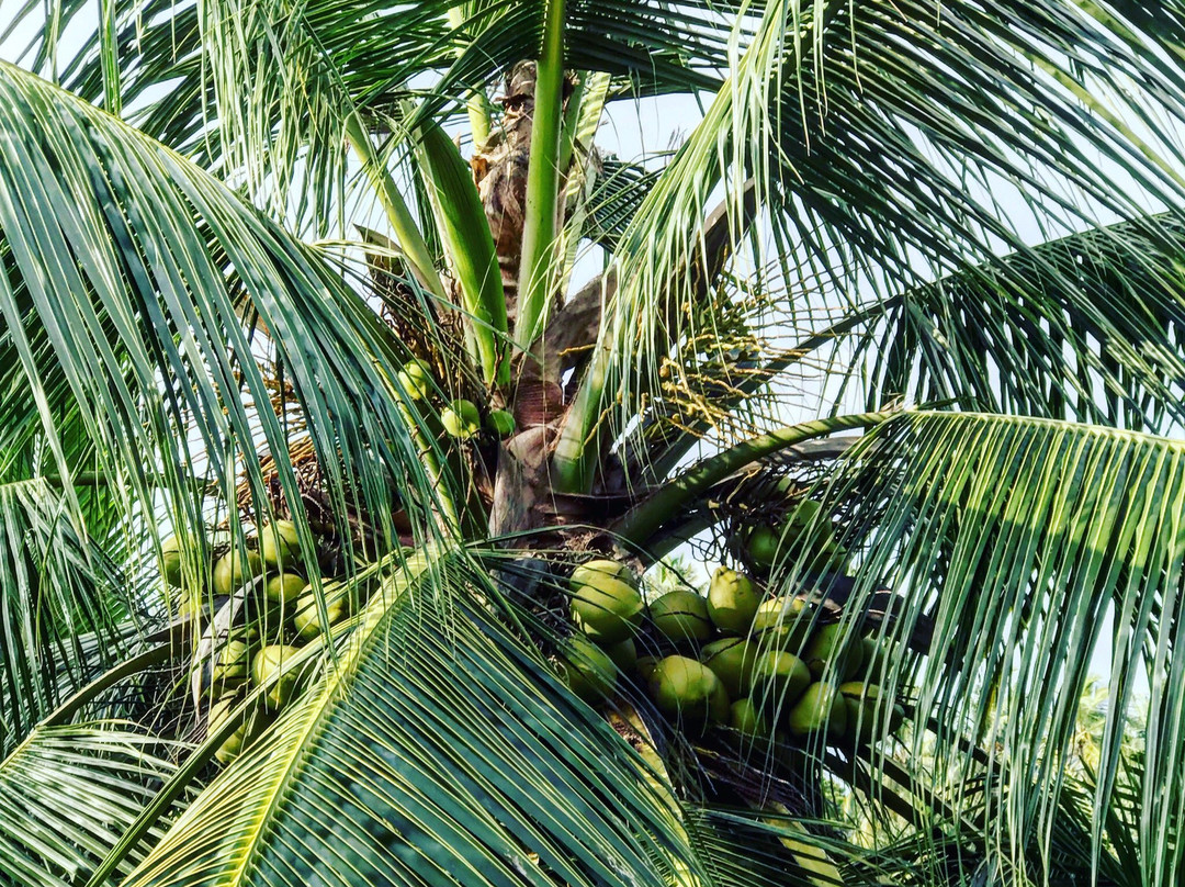 Tinara River Inn主图