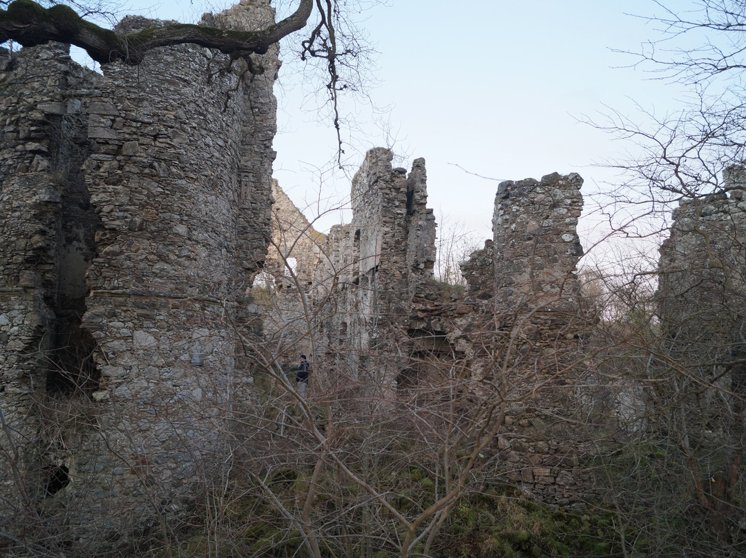 Ballogie旅游景点-Boyne Castle