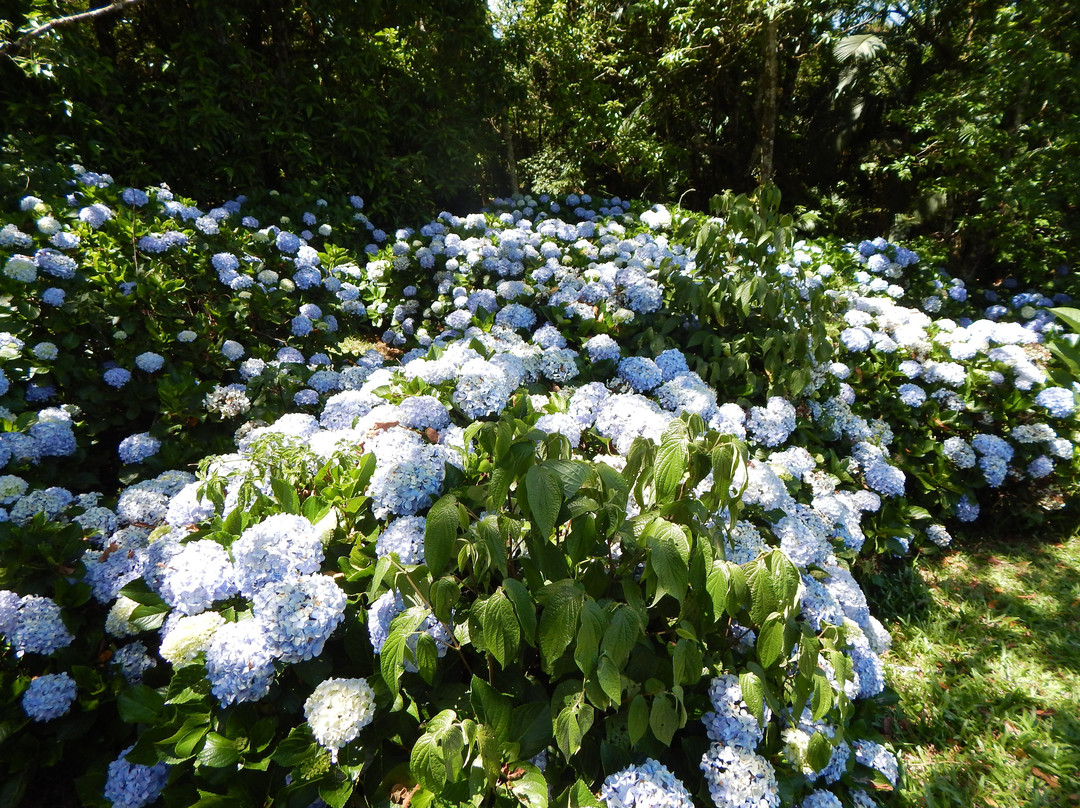 Casa Branca Pousada主图