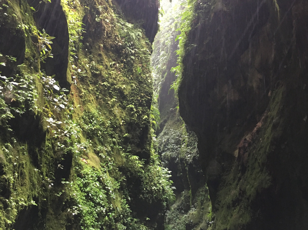 Vert-evad Canyoning-Fonds Saint Denis必去景点