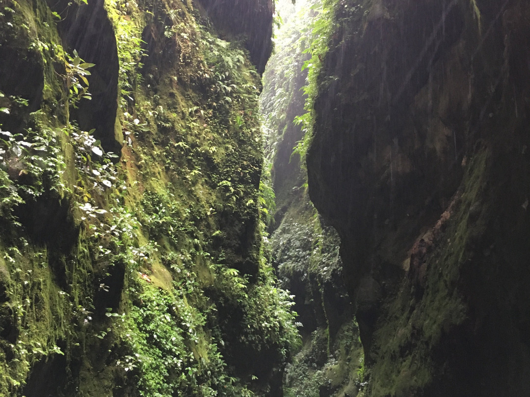 Vert-evad Canyoning景点图片