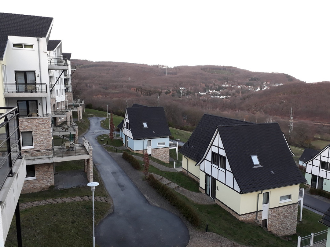 Dormio Resort Eifeler Tor主图