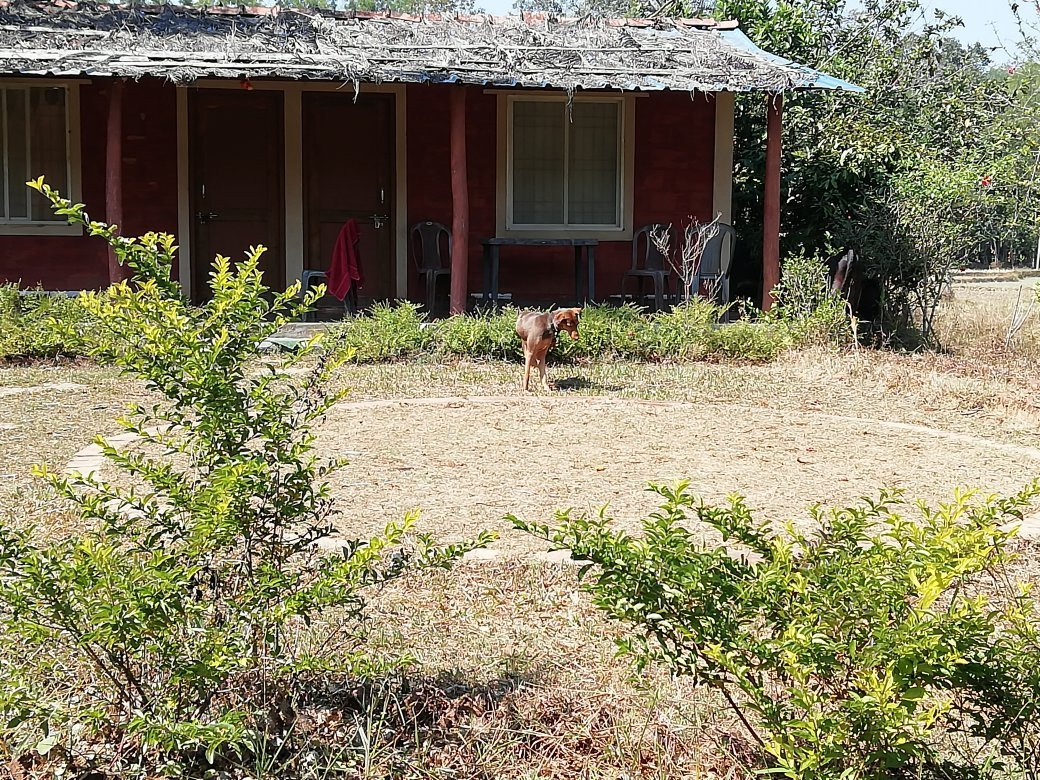 Shantivana Homestay主图