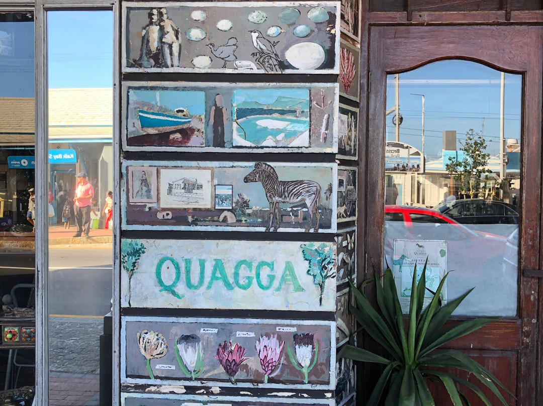 Quagga Rare Books and Art-Kalk Bay必去景点