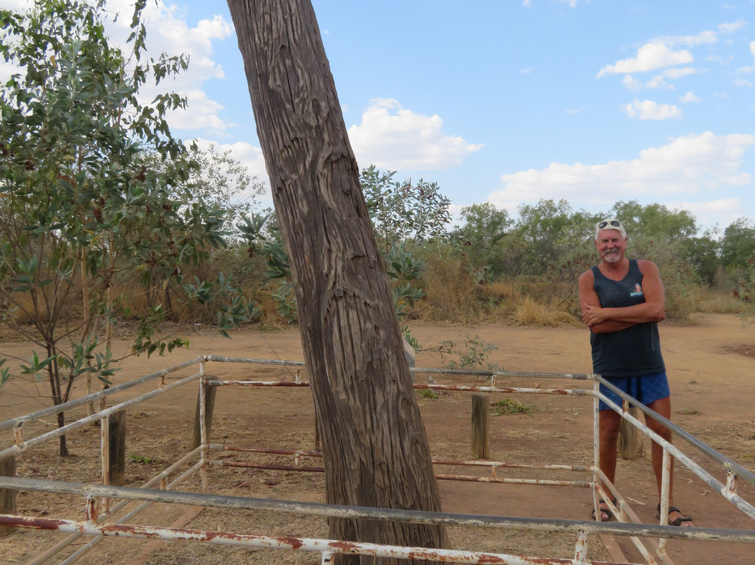 Stuart Tree Historic Site-Daly Waters必去景点