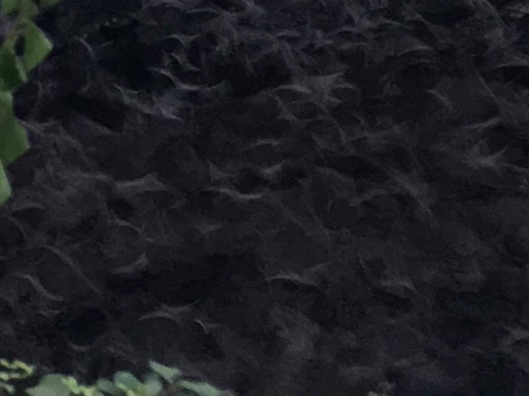 Volcan de los Murcielagos景点图片