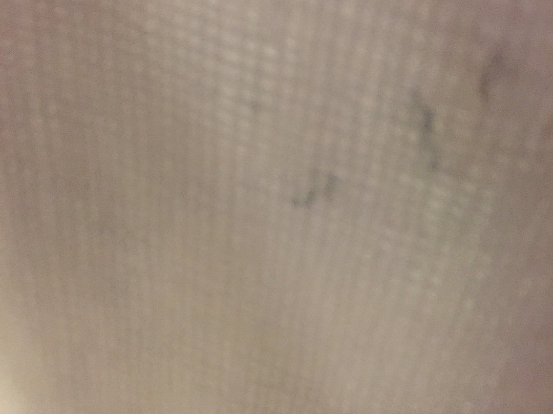 One Vittoria Hotel主图